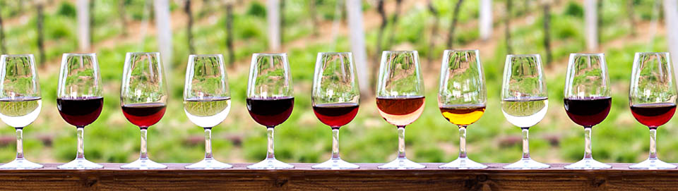 Wine & Spirits of Slingerlands Wine Tastings